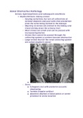 Renal Obstructive Pathology 