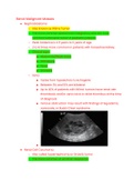 Renal Malignancies 