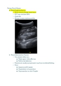 Benign Renal Masses