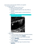 The Lower GI tract 