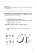 Anatomie samenvatting blok 1 jaar 2 