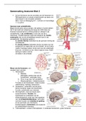 Anatomie samenvatting blok 2 jaar 2 