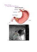 Pediatric GI Tract Sonography 