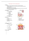 NR 302 Chapter 12- Skin, Hair, and Nail Assessment / NR302 Chapter 12- Skin, Hair, and Nail Assessment (Latest 2022/2023): Health Assessment I: Chamberlain College of Nursing