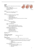 Samenvatting stuitligging