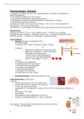 volledige samenvatting hematologie van Nele Michels