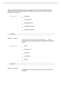 MT 140 (MT140) MT 140 Unit 2 Quiz. Kaplan University