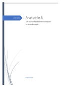 Samenvatting anatomie 3 