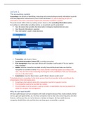 Auditing & Accounting Information Systems (320060-B-6) - summary of all the lecture slides supplemented with notes.