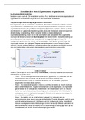 Samenvatting Bedrijfskunde integraal H7 Bedrijfsprocessen organiseren deels HRM