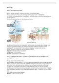 Samenvatting van alle hoorcolleges Planten en Micro-organismen deeltoets 1