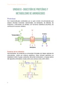 08 - Digestión de proteínas y metabolismo de aminoácidos