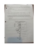 18.4 Glycolysis