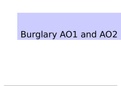 Exam Summary - Burglary