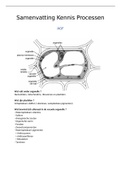 Samenvatting basis processen 