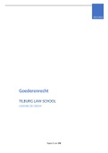 Samenvatting goederenrecht (literatuur, werkcolleges, hoorcolleges en jurisprudentie)