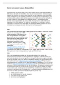 Wat is het verschil tussen RNA en DNA?