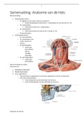 Samenvatting Anatomie van de Hals
