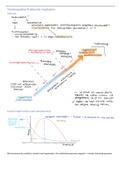 PR Klinische implicaties tendinopathie (Kuppens)