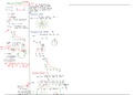 Oxford AQA Physics Gravitational Fields