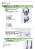 anatomie van het menselijk lichaam