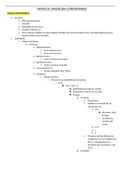 Resumen del capitulo 34 del libro Microbiología y Parasitología Médicas de Guillem Prats