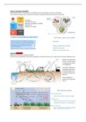 Summary SUSSY - Sustainability Assessment in Animal Systems