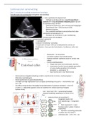 Samenvatting deel prof timmermans cardiovasculair in REVAKI