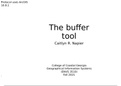 Using the buffer tool in ArcGIS (protocol)