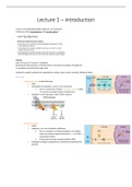 Lectures Experimental and Clinical Neuroendocrinology