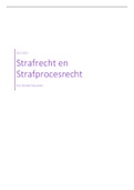 Strafrecht en Strafprocesrecht 2021-2022