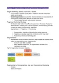 Chapter 7- Segmenting, Targeting, Marketing, Positioning