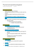 thryoid and parathyroid hormones 