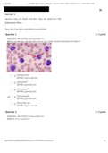 BSC 2086L - Blood Lab Quiz. 