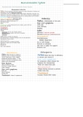 Medsurg Muscoskeletal study guide