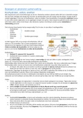 Samenvatting BEWEGEN EN PRESTEREN (BEP)