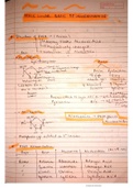 MOLECULAR BASIS OF INHERITANCE- short notes 