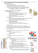 Samenvatting  Moleculaire Ontwikkelingsbiologie