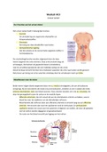 Samenvatting Optometrie Anatomie & Fysiologie Jaar 2 Blok B - Urinair stelsel