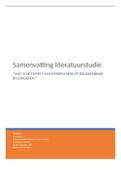 Inspiratie en voorbeeld voor samenvatting literatuurstudie