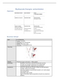 Samenvatting myofasciale therapie van de extremiteiten