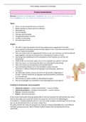 Samenvatting Anatomie Fysiologie module 6