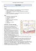 Samenvatting Anatomie Fysiologie module 5