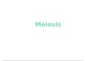 Life sciences Gr12 IEB: Meiosis