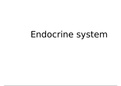 Life sciences Gr12 IEB: Endocrine system