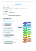 Samenvatting  Biodiversiteit en Ecologie van Invertebraten 2021-2022 Prof. Kochzius