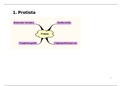 LMM/ Te kennen MO: protista, parasitaire wormen, virussen