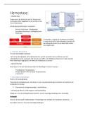 Samenvatting  Hematologie 2: Hemostase 