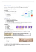 Samenvatting  Hematologie 2: Witte bloedcellen 