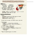 Samenvatting H2 - Exogene en Endogene Processen De Geo Bovenbouw VWO (Examen stof) (ISBN 978-90-01-87834-4)